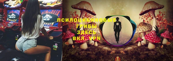 тгк Алзамай